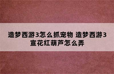 造梦西游3怎么抓宠物 造梦西游3宣花红葫芦怎么弄